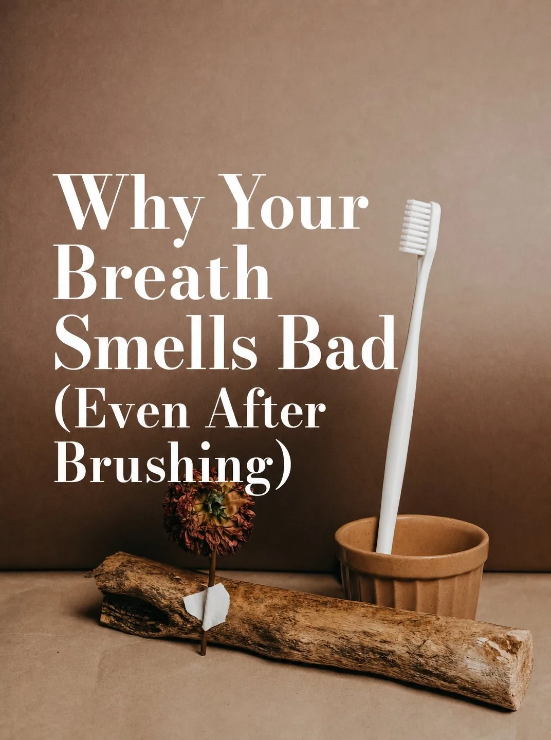 Carousel slide 1 from a Postbae example about why your breath smells bad even after brushing