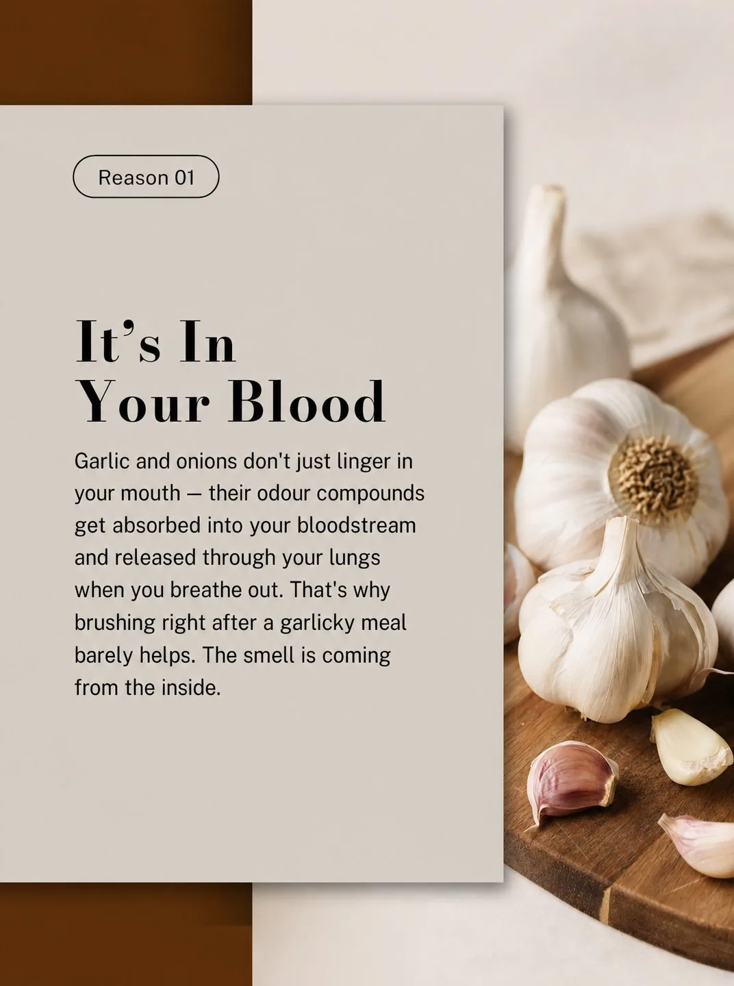 Carousel slide 2 from a Postbae example about why your breath smells bad even after brushing